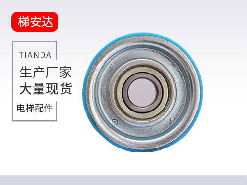 廣州(zhōu)奧的斯(sī)門挂輪(lun)