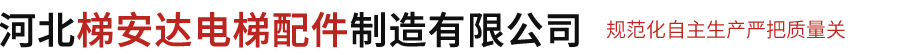 河北湛(zhàn)江丰圣机(jī)器人制造(zao)集团